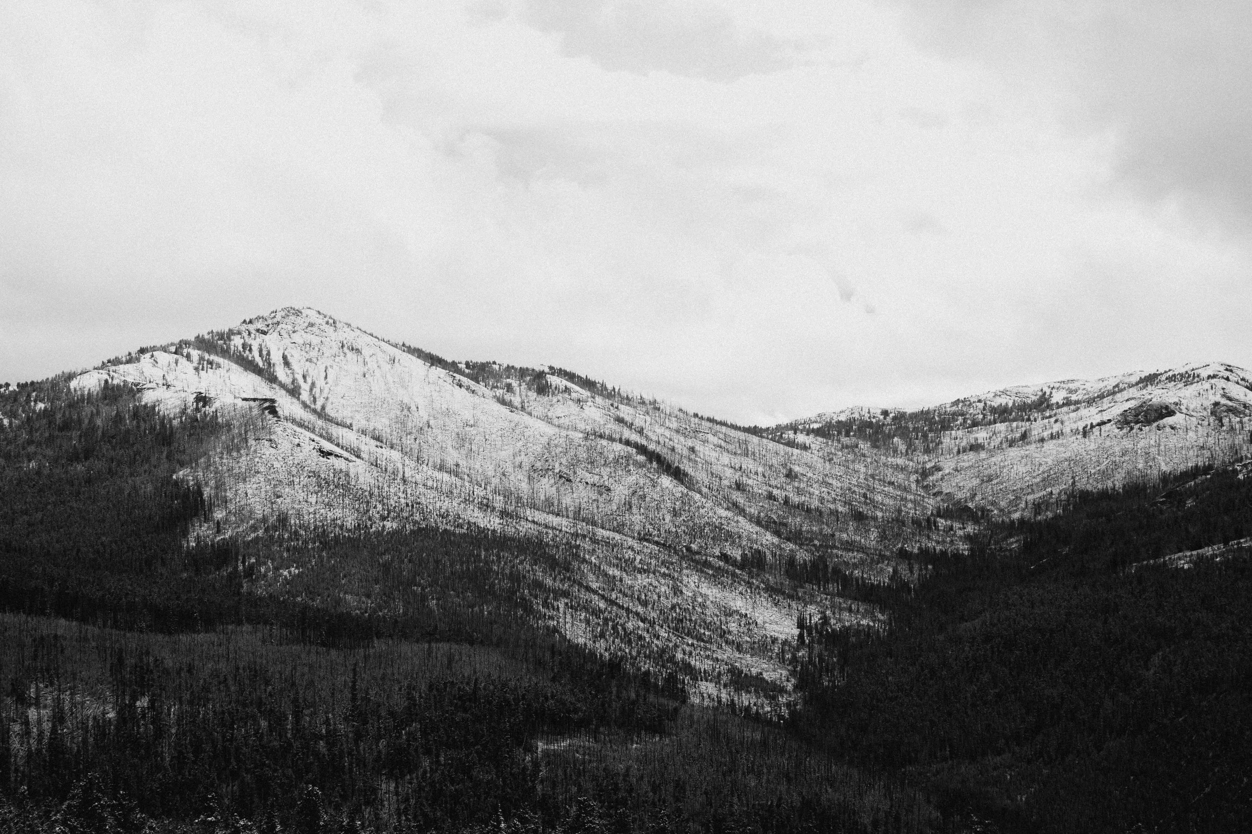 DSC_0530.jpg