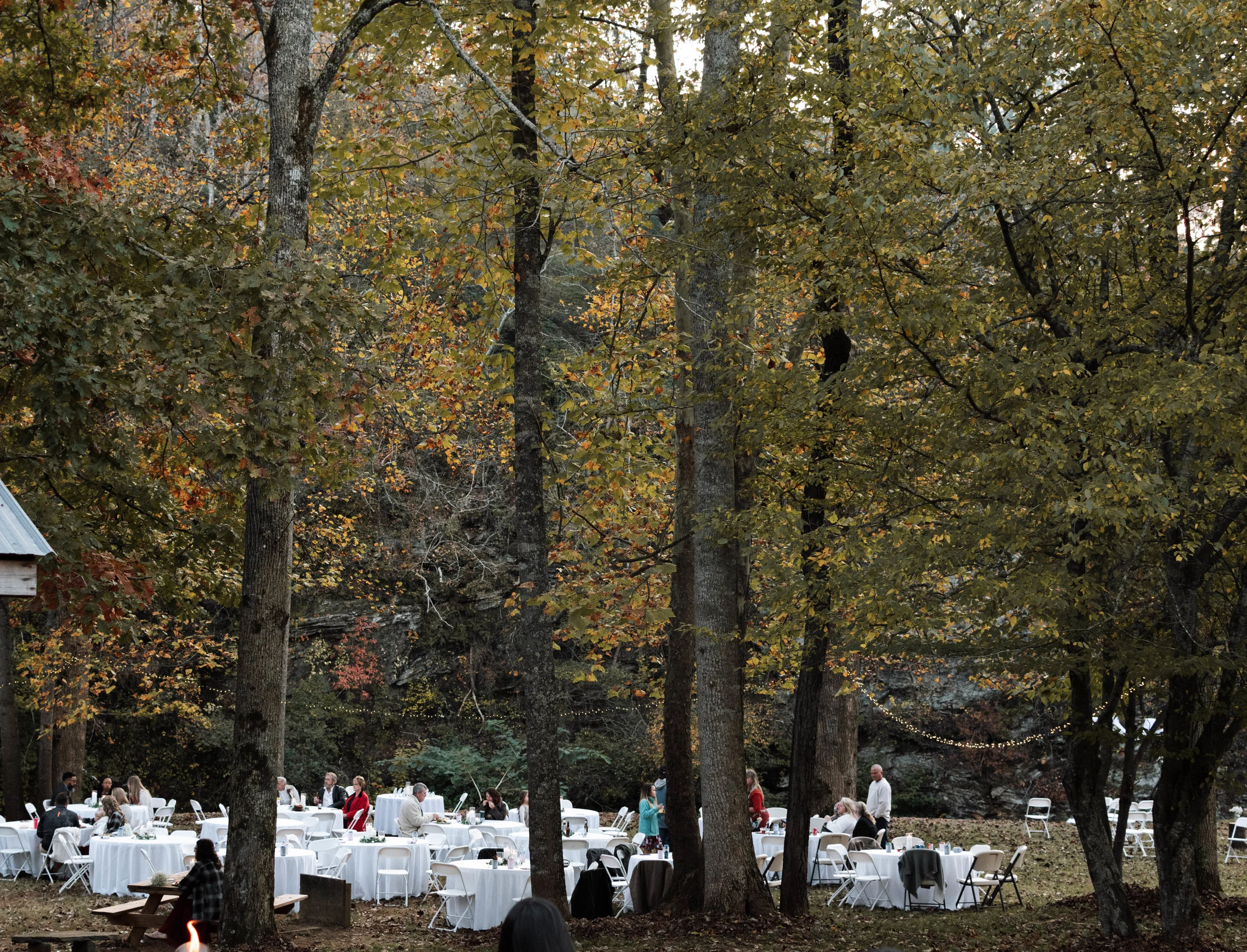 DSC_0059.jpg