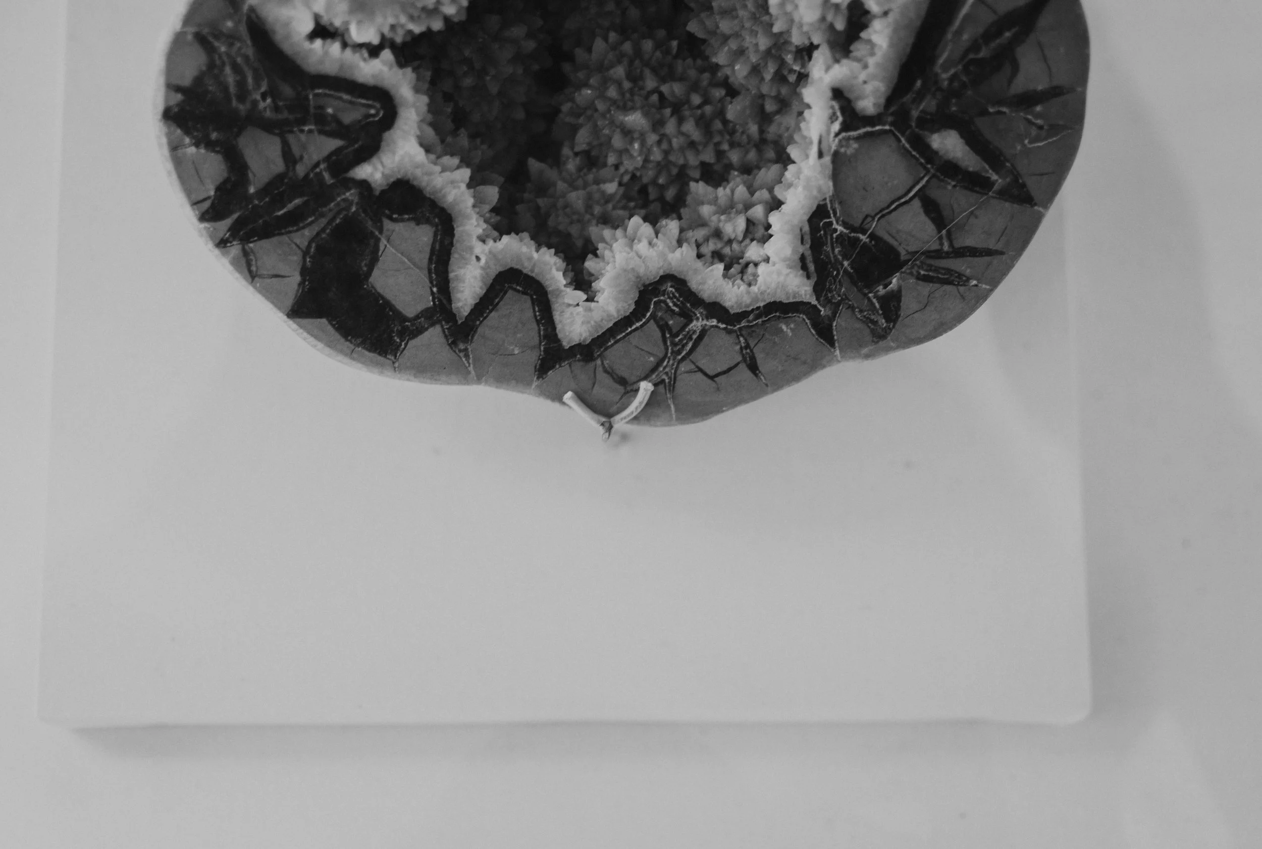 DSC_0310.jpg