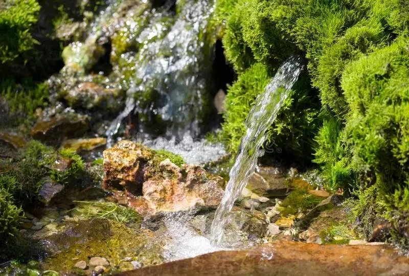 My Body is Connected to the Environment (Global and Neighborhood Environment)