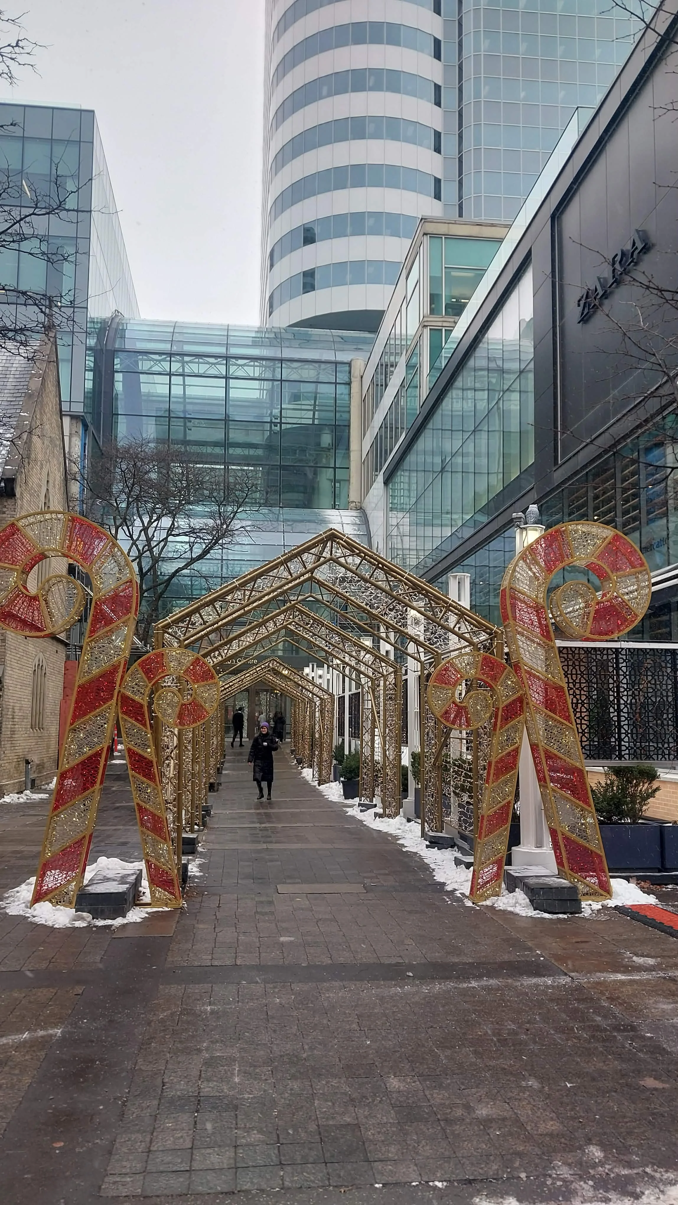 December 6-27, 2025: Winter Art, Christmas Art. Dreaming Big for 2026!