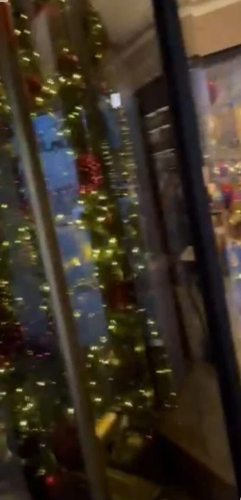 Random Christmas tree lights.jpg