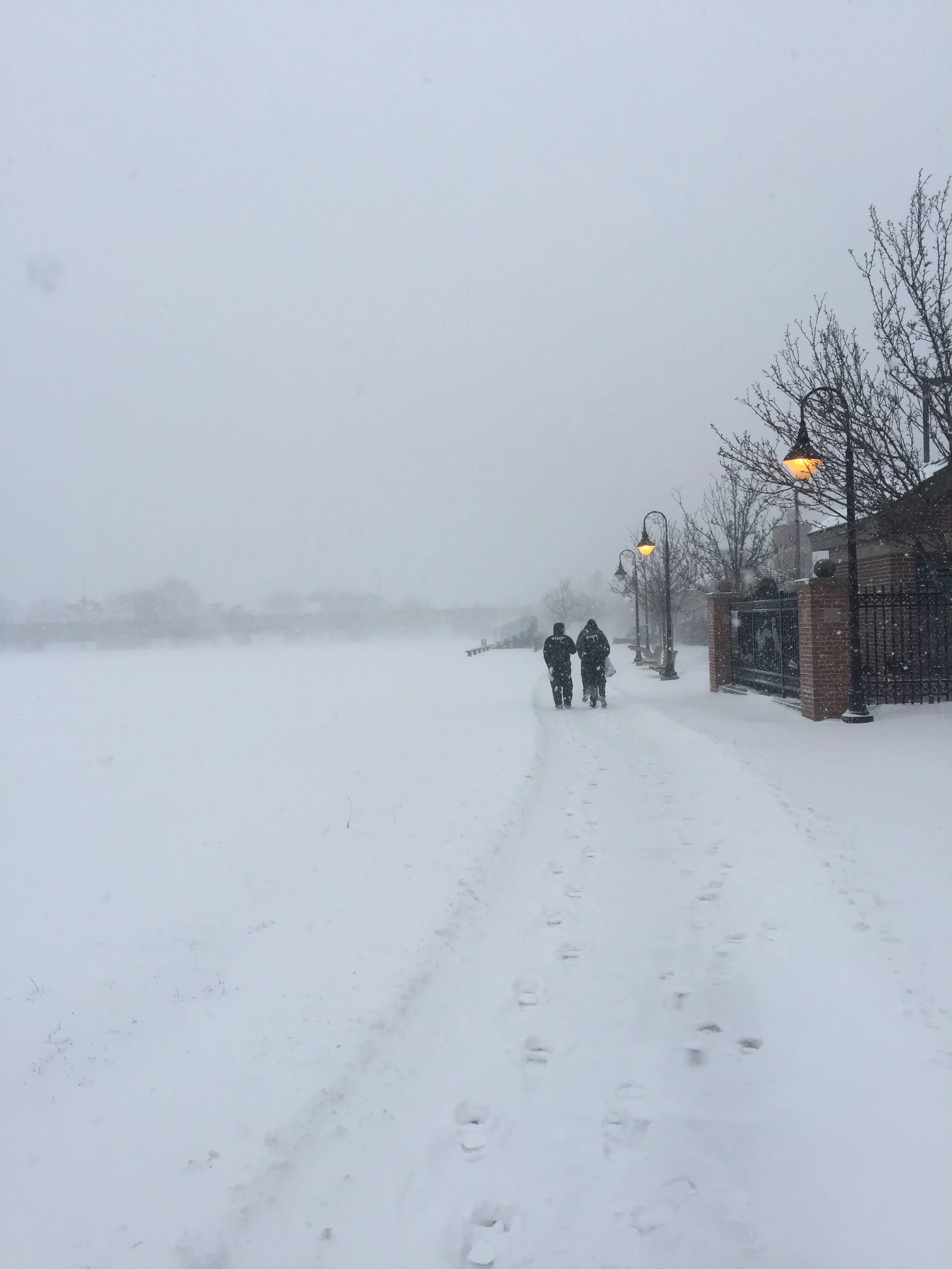 January 10: Winter Art and Introduction to News Literacy