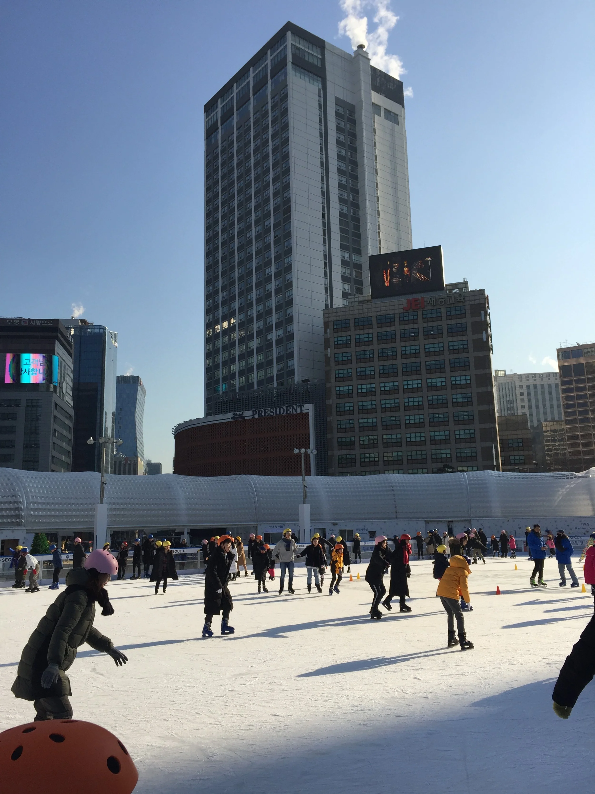 January 17: Winter Art; News Literacy Project Week 2: Levels of scientific evidence