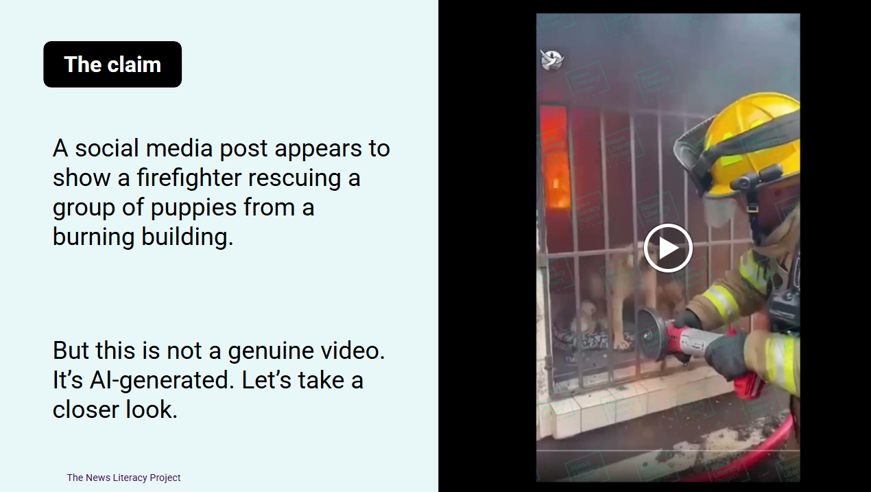 February 28, 2026: The News Literacy Project Week 6