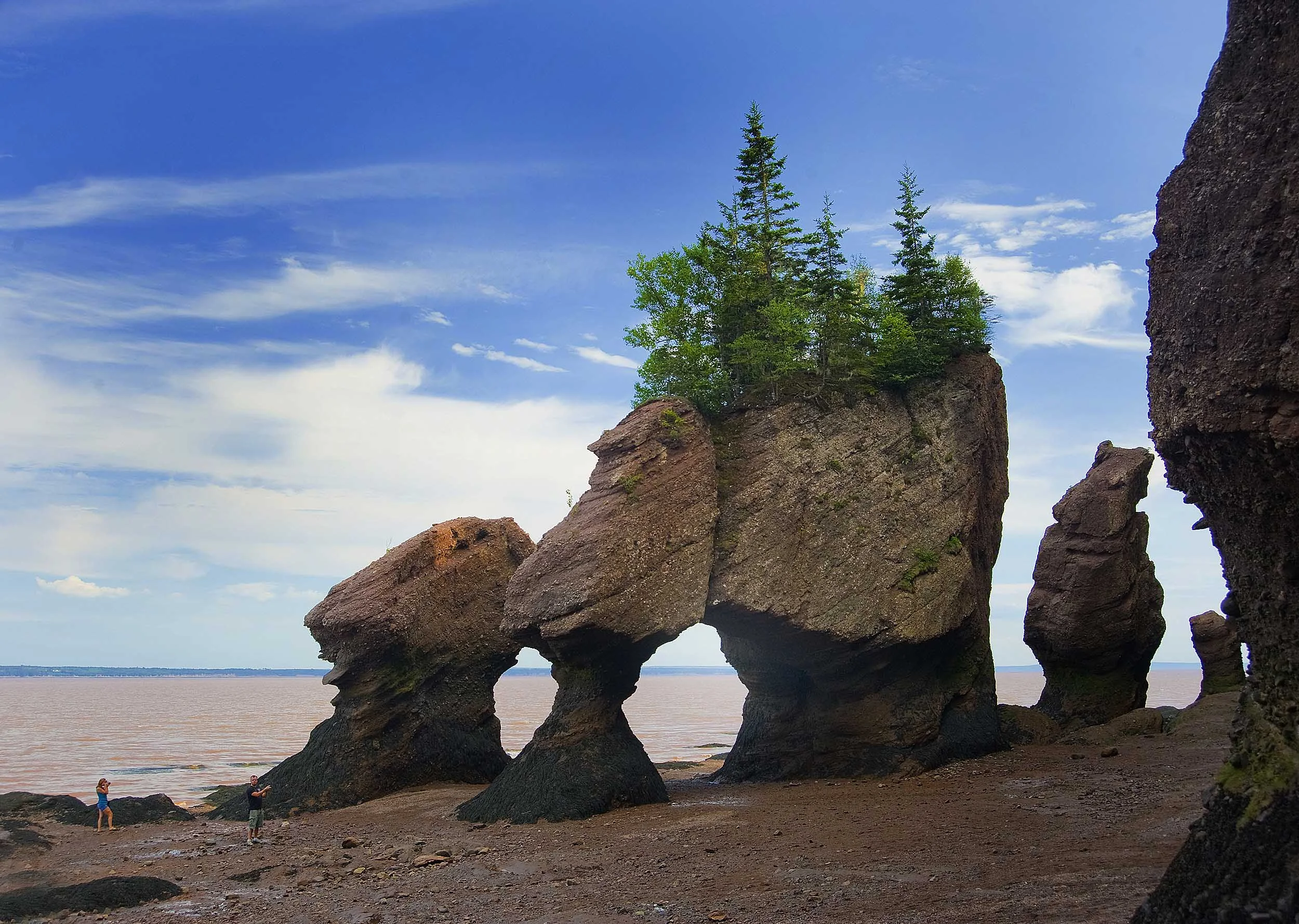Fundy_DSC2107 - Copy.jpg