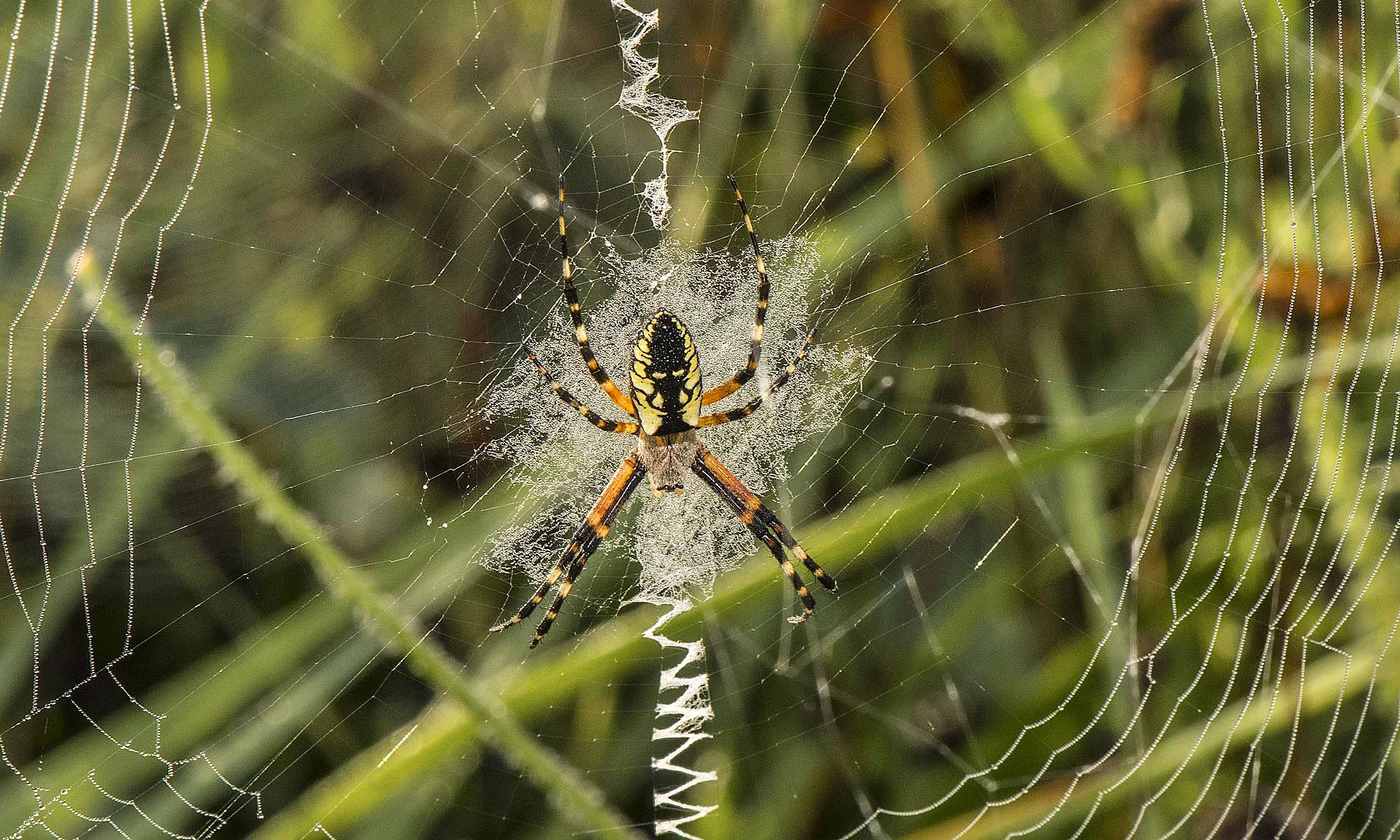 DSC_8884.jpg