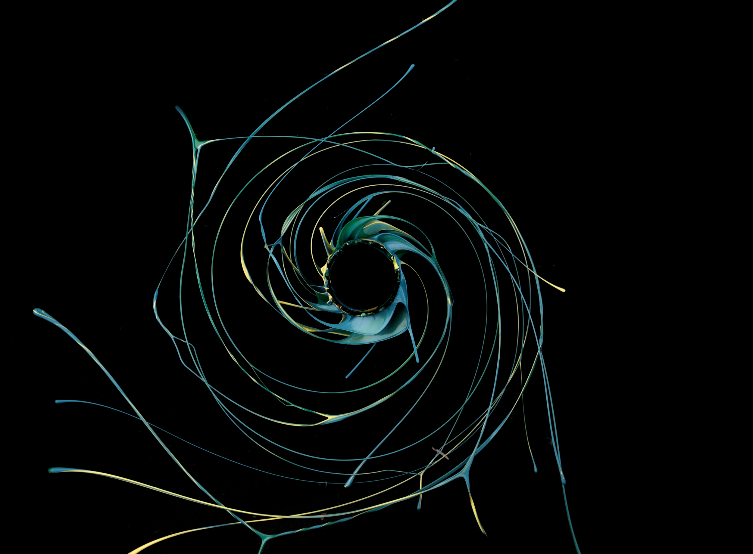 _LEX1396 copy copy.JPG