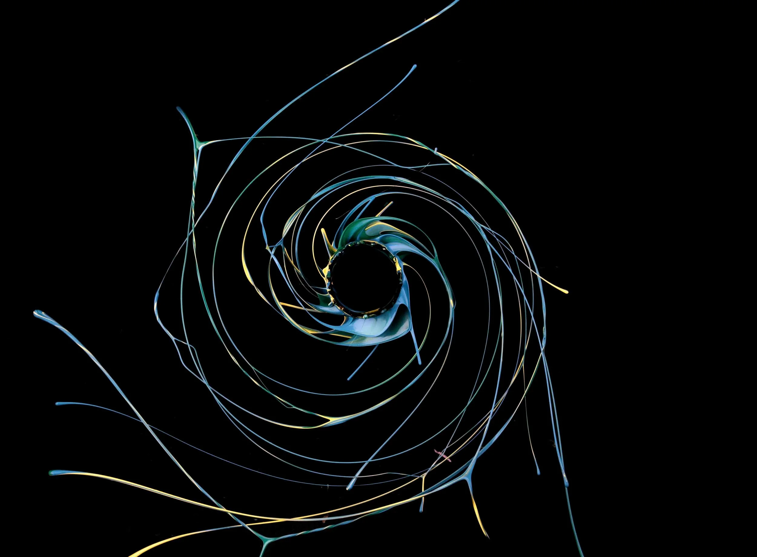 _LEX1396 copy copy.JPG