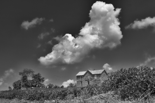 Abandoned house in rural DuBois County, Indiana.