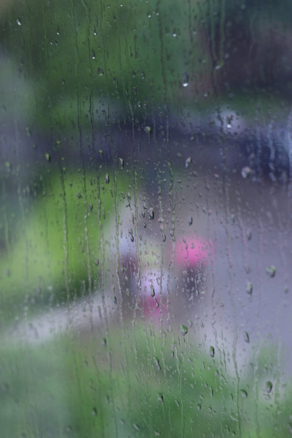 Umbrellas in the rain, Minneapolis, May, 2017