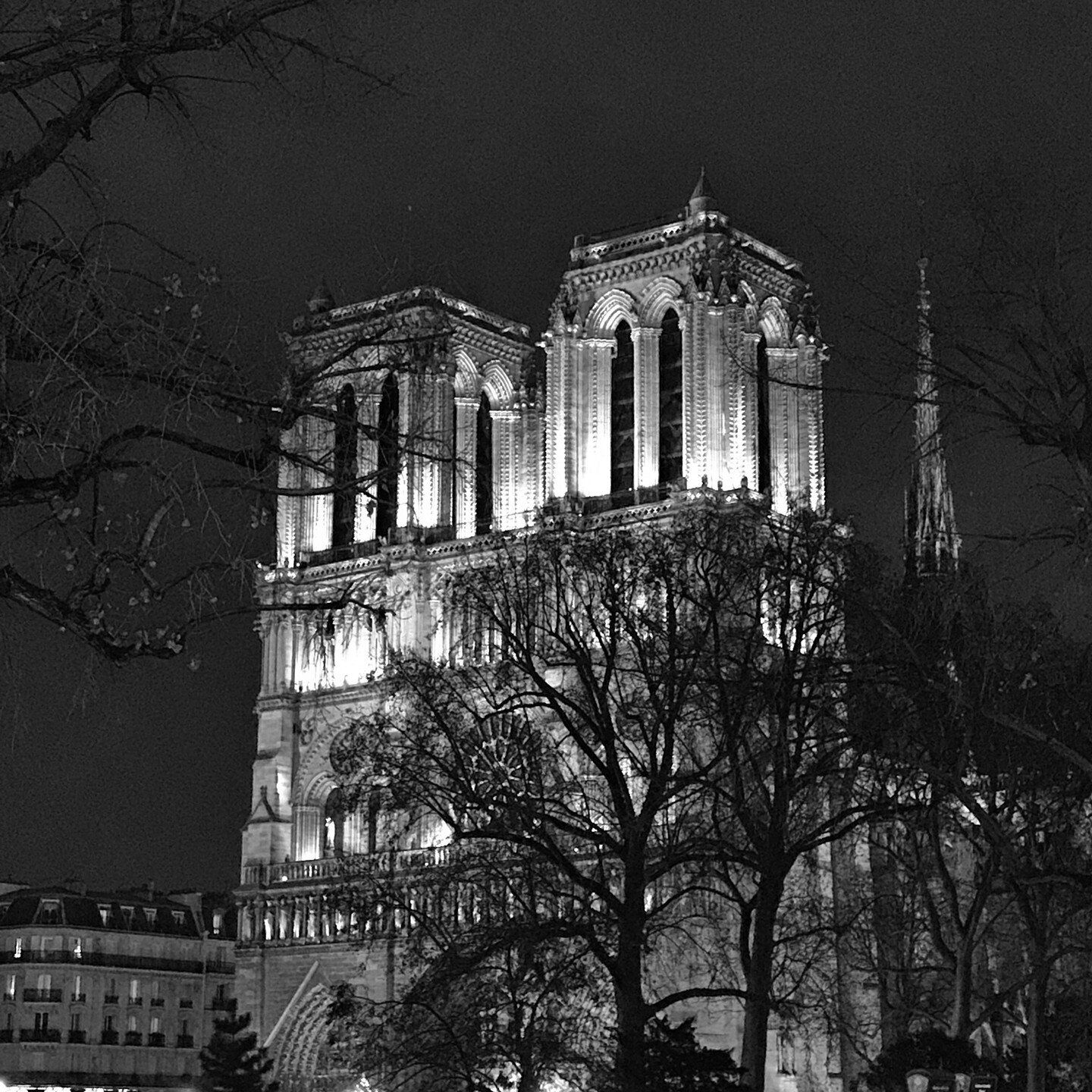 Notre Dame at night, December 2016. #notredameparis #paris #parisisalwaysagoodidea #parisjetaime