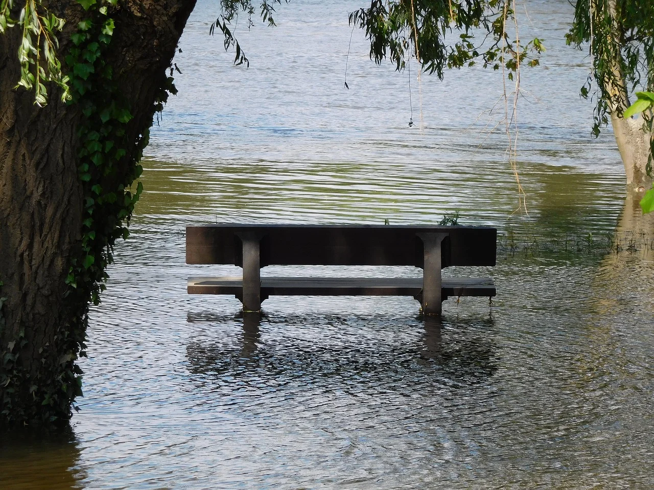 bench-2908778_1280.jpg