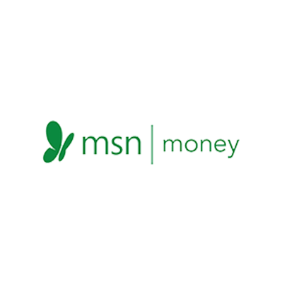 Msn money portfolio manager investing vest stand