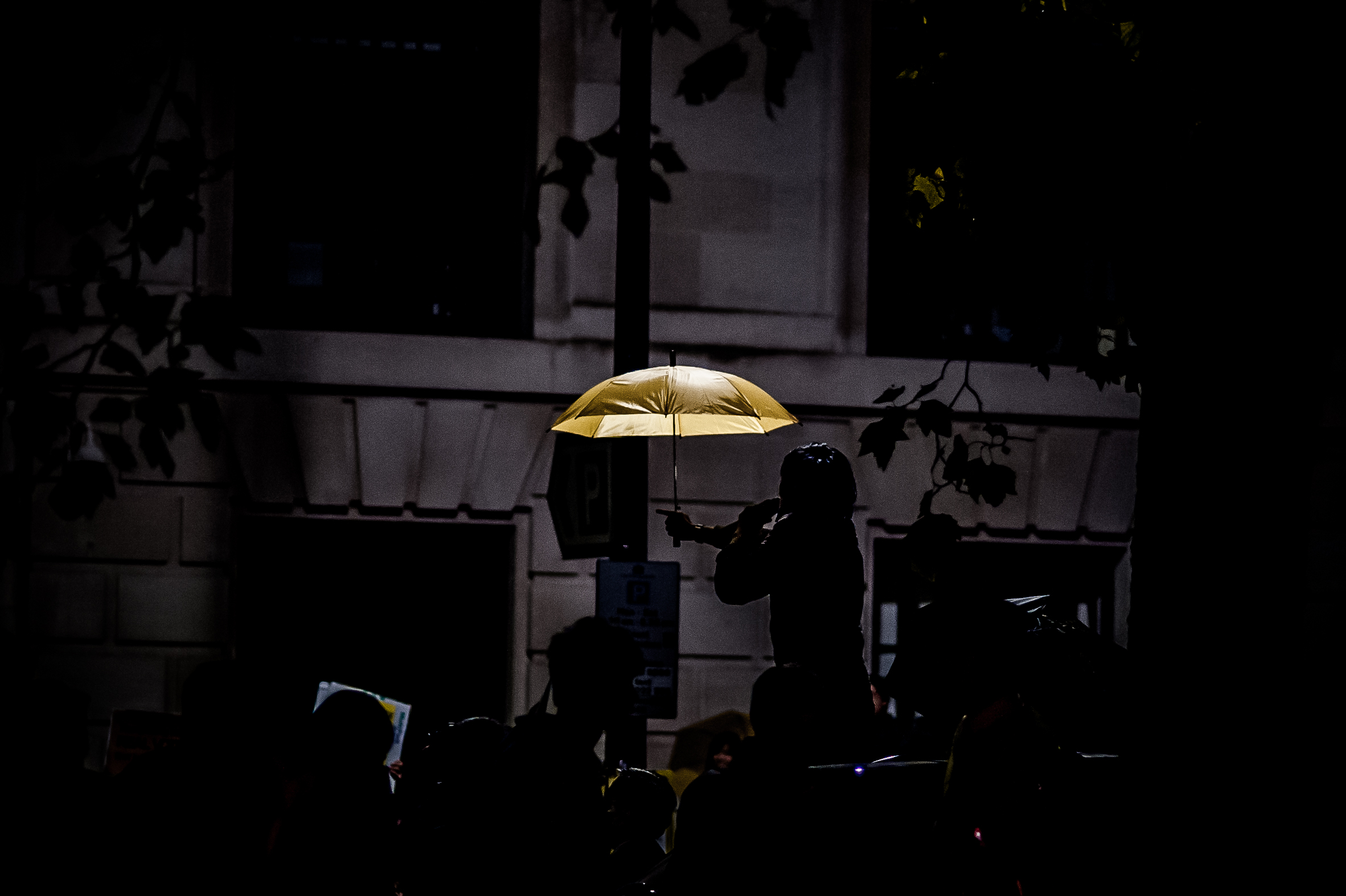 Chinese Embassy Protest 011014 - Suki Mok-31.jpg