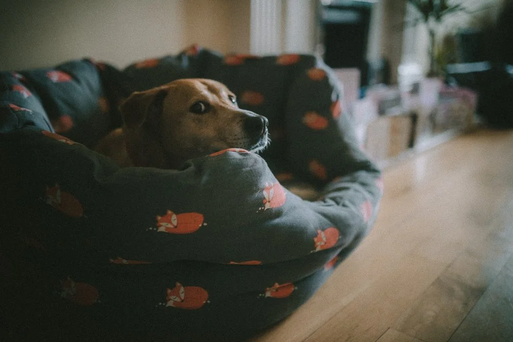 33- Capita Pensions - Draft Selects - 110422-114.jpg