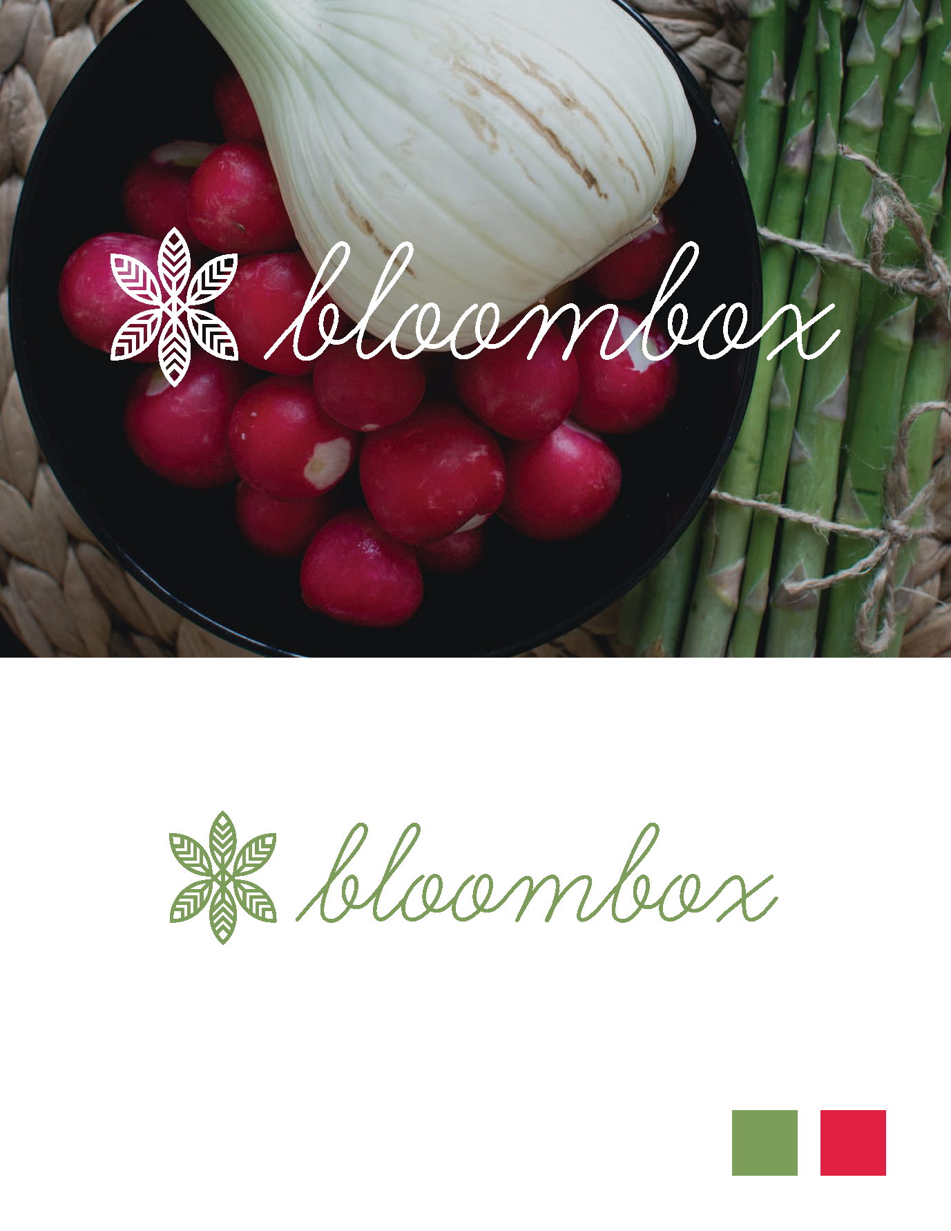 BloomBox_Branding_R1 copy_Page_1.png