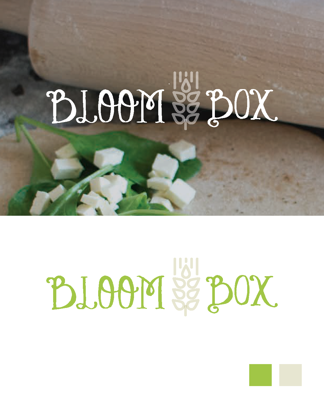 BloomBox_Branding_R1 copy_Page_4.png