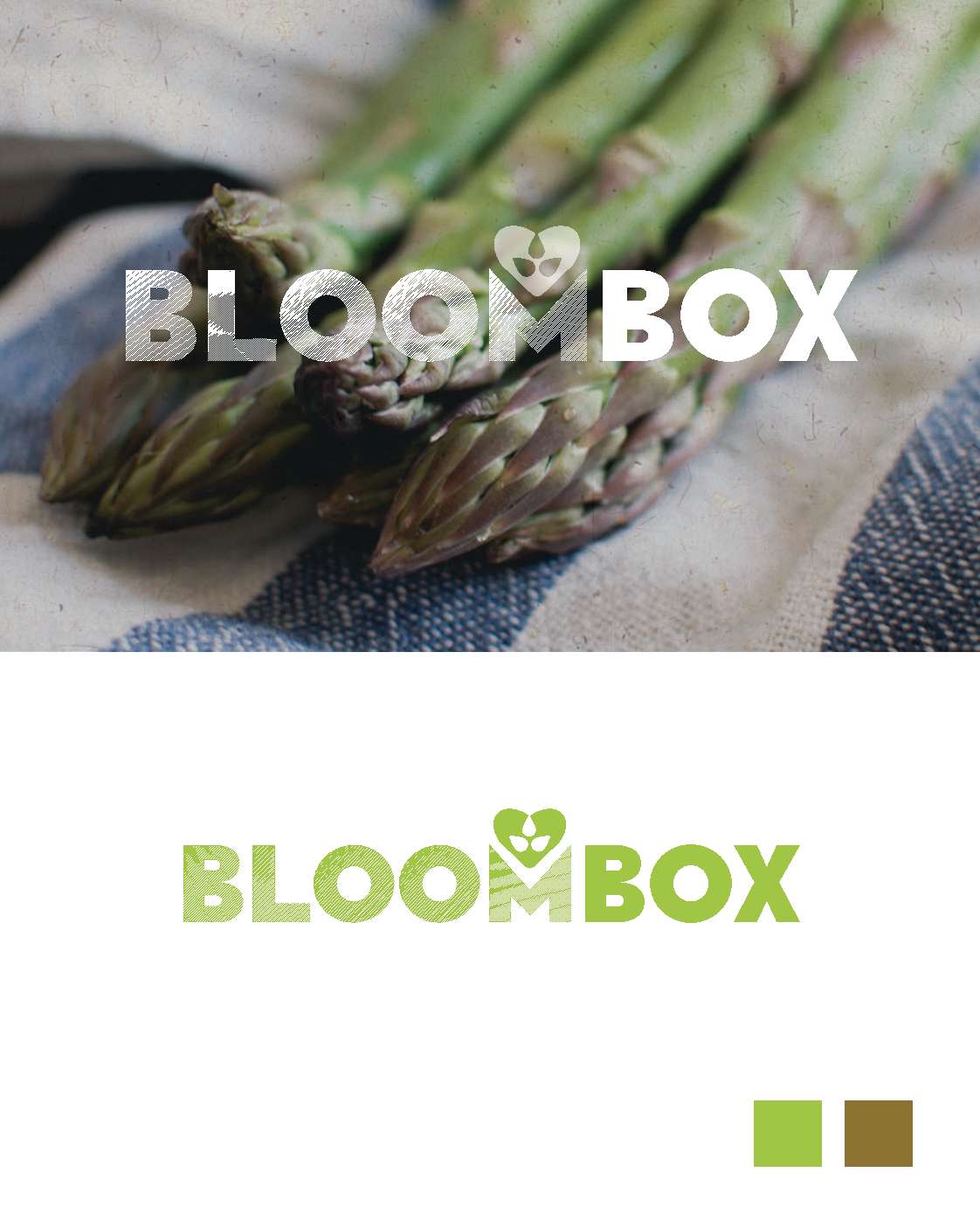BloomBox_Branding_R1 copy_Page_3.png