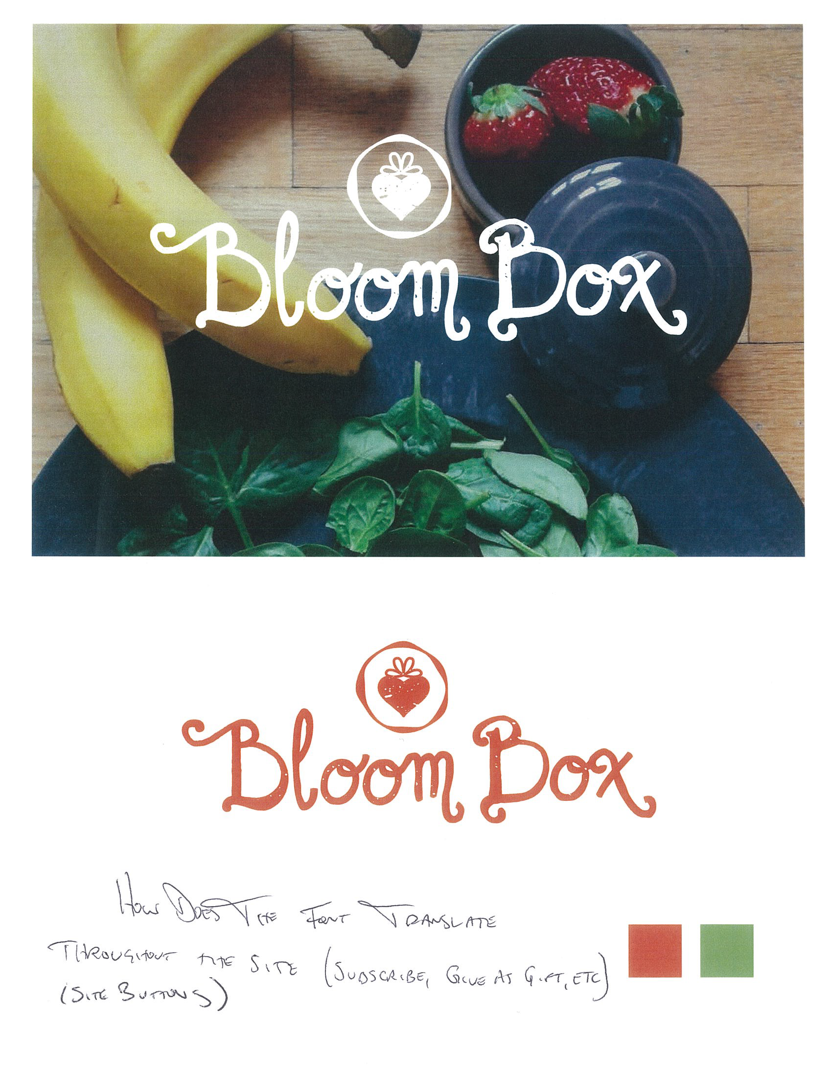 BloomBox_Branding_R2_EDITS_103014_Page_1.png