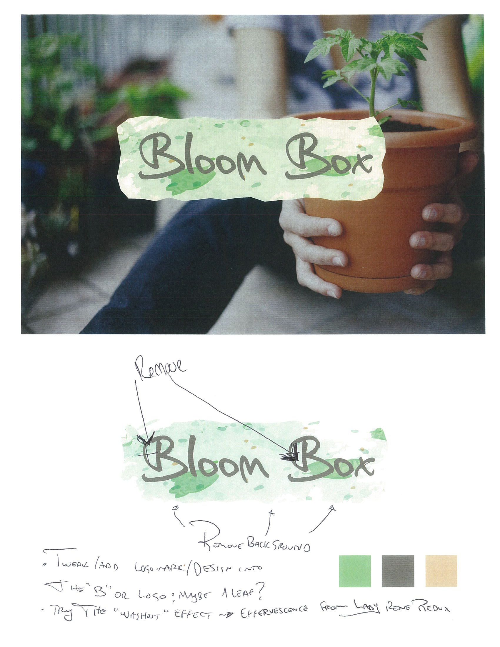 BloomBox_Branding_R2_EDITS_103014_Page_2.png