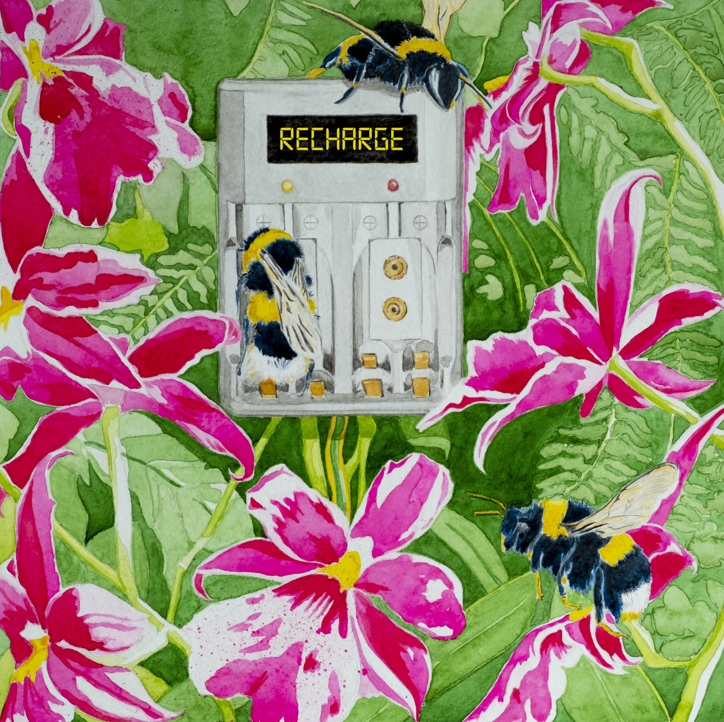 New Bee Recharge bluerV4.jpg