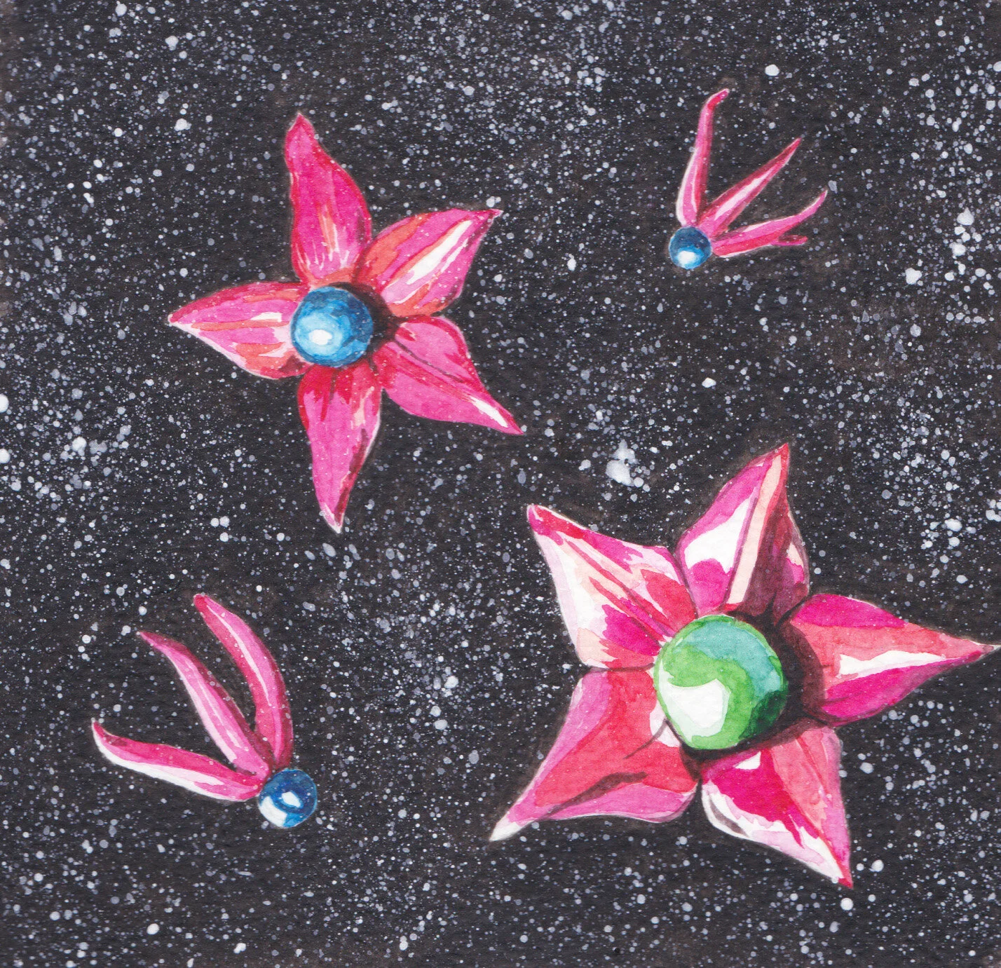 star flower_med res.jpg