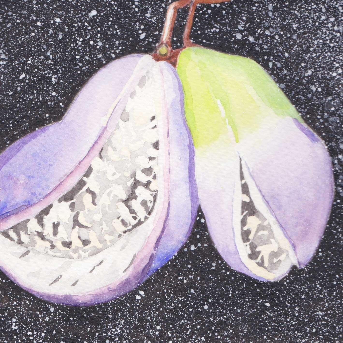 space-choc-vine_web.jpg