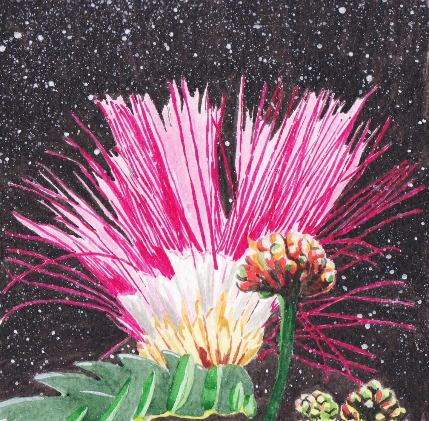 space-flora_web.jpg
