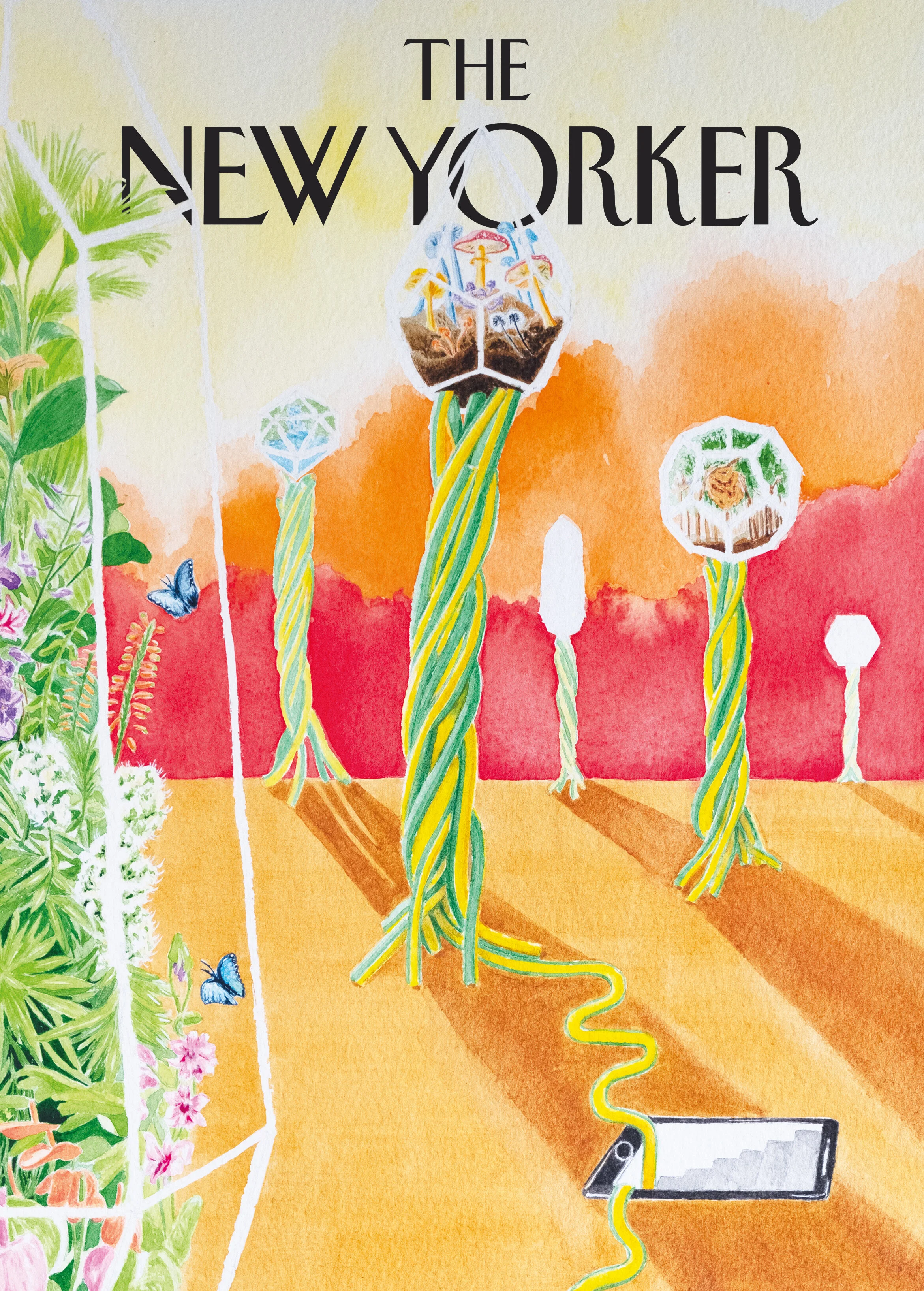 New Front Cover copy_V2.jpg