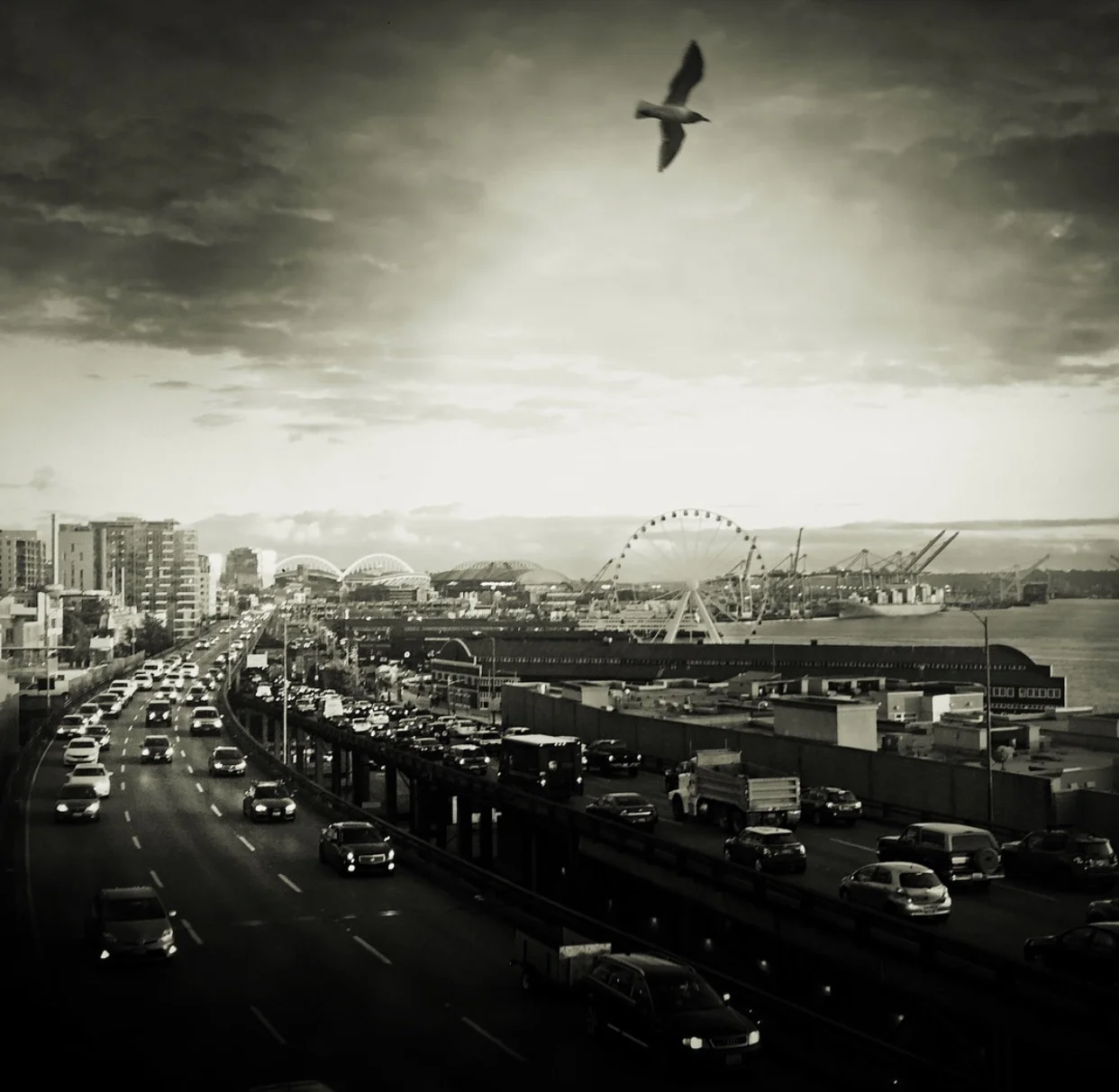 File Nov 08, 10 44 58 AM.jpeg