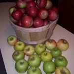 Apples_01-150x150.jpg