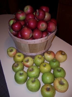 Apples_01.jpg