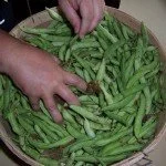 Beans_01-150x150.jpg