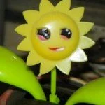 copy_0_Happysunflower-150x150.jpg