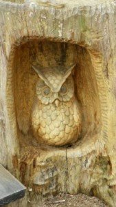 trunkowl-169x300.jpg