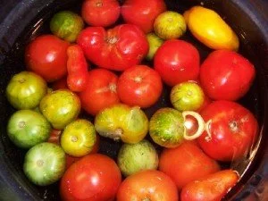 Tomatoesinwater_02-300x225.jpg