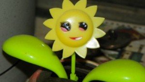 Happysunflower-300x169.jpg