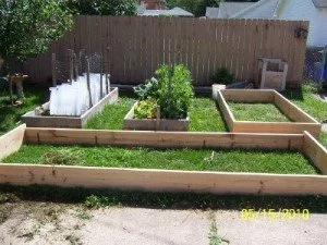 Raisedbed_21-300x225.jpg