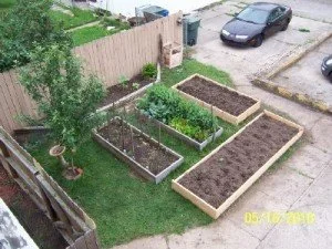 Raisedbed_62-300x225.jpg