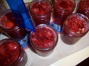 StrawberryJam_03-300x225.jpg