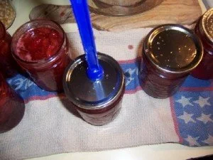 StrawberryJamsittinglids_04-300x225.jpg