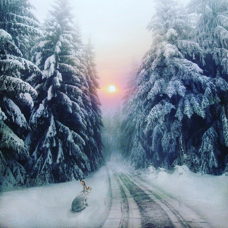 Join the Black Diamond  Hometown Christmas celebration as the Black Diamond library and Live Paint celebrate the season through the sharing of cultural folktales. Our stories will be derived from the Celtic, Russian and Scandinavian traditions and wi