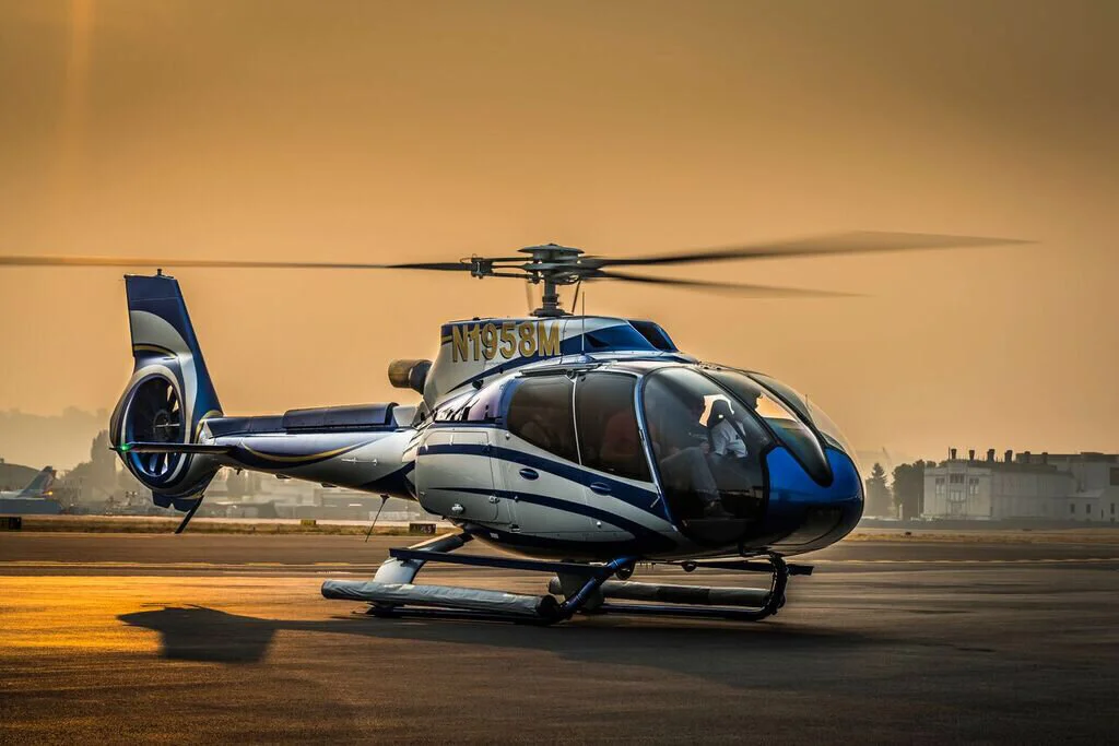 H130+golden+sunlight.jpg