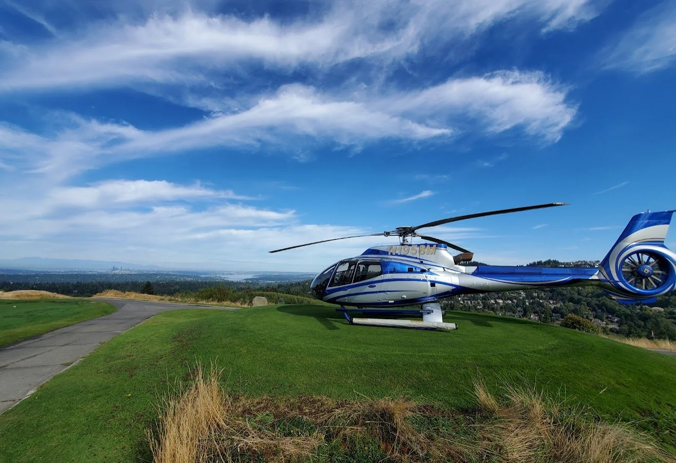 Atomic Helicopters Ball Drop Golf Club at Newcastle 1.jpg