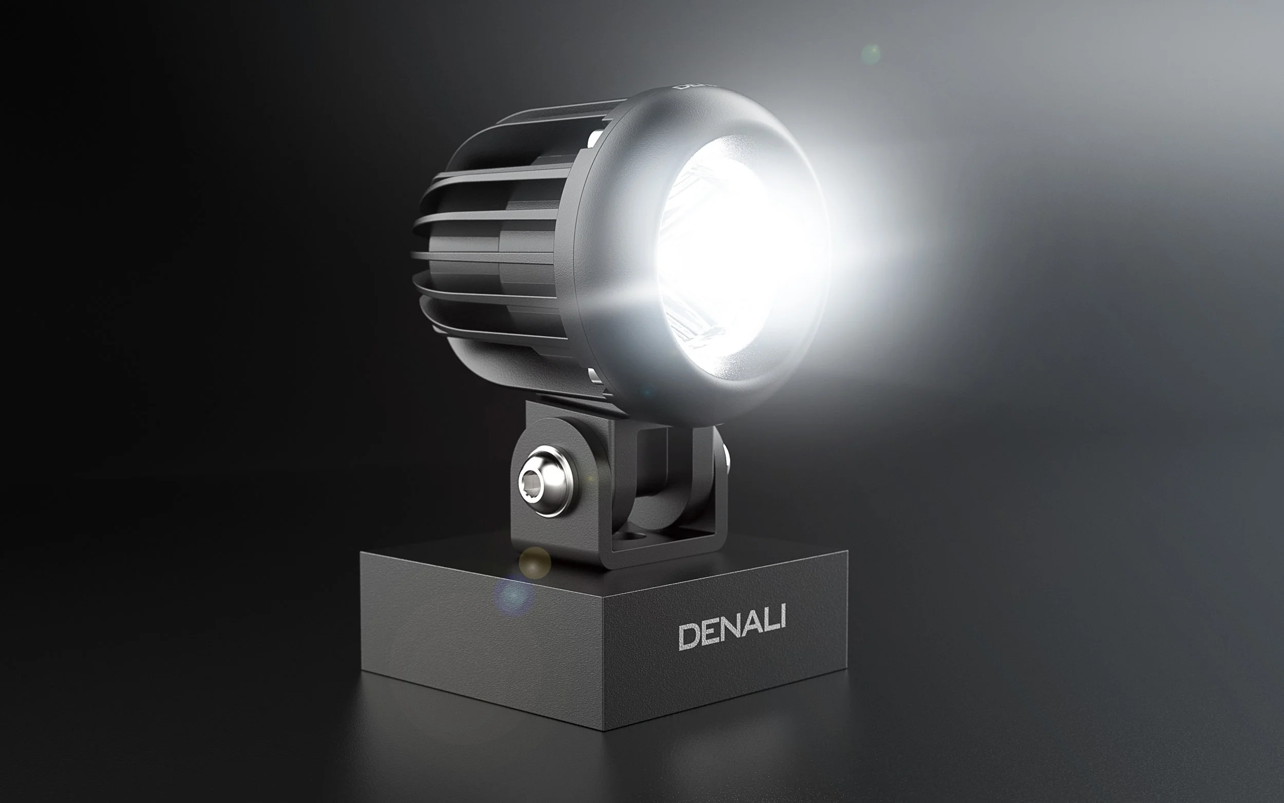 DenaliRenderTest_Fun.227 copy.jpg