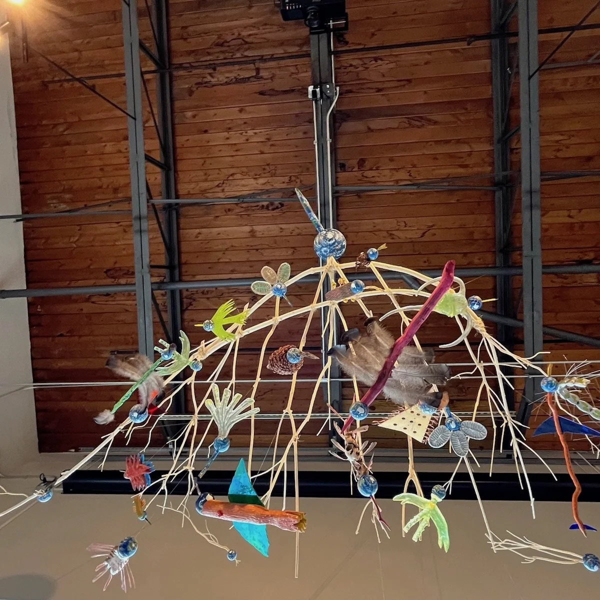 EARTHY UP-SHOT 1.jpeg