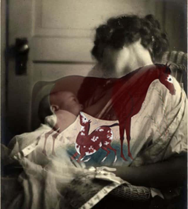 Maliheh Zafarnezhad, Photo Manipulation Series