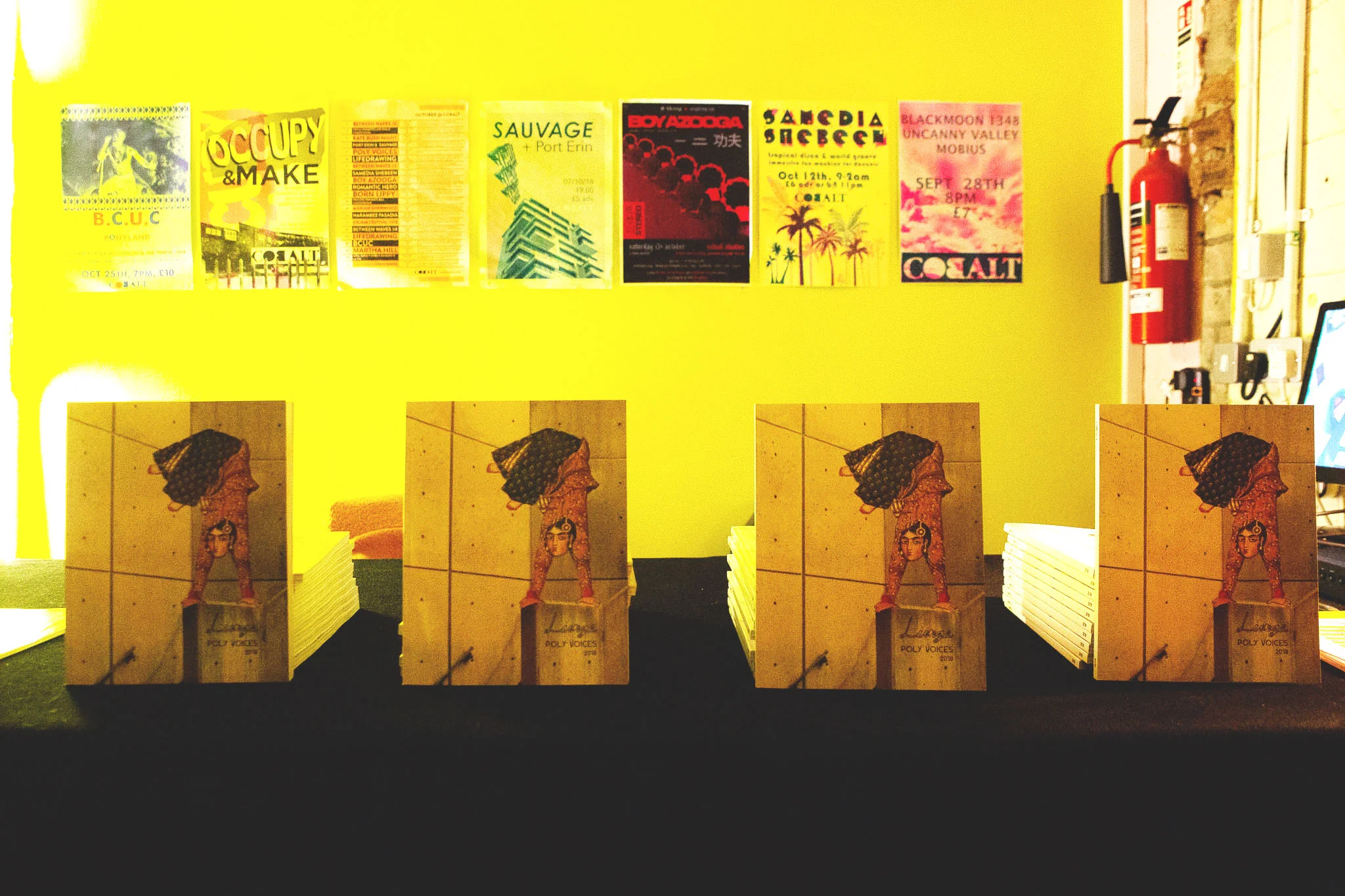 Poly Voices Launch-99-small.jpg
