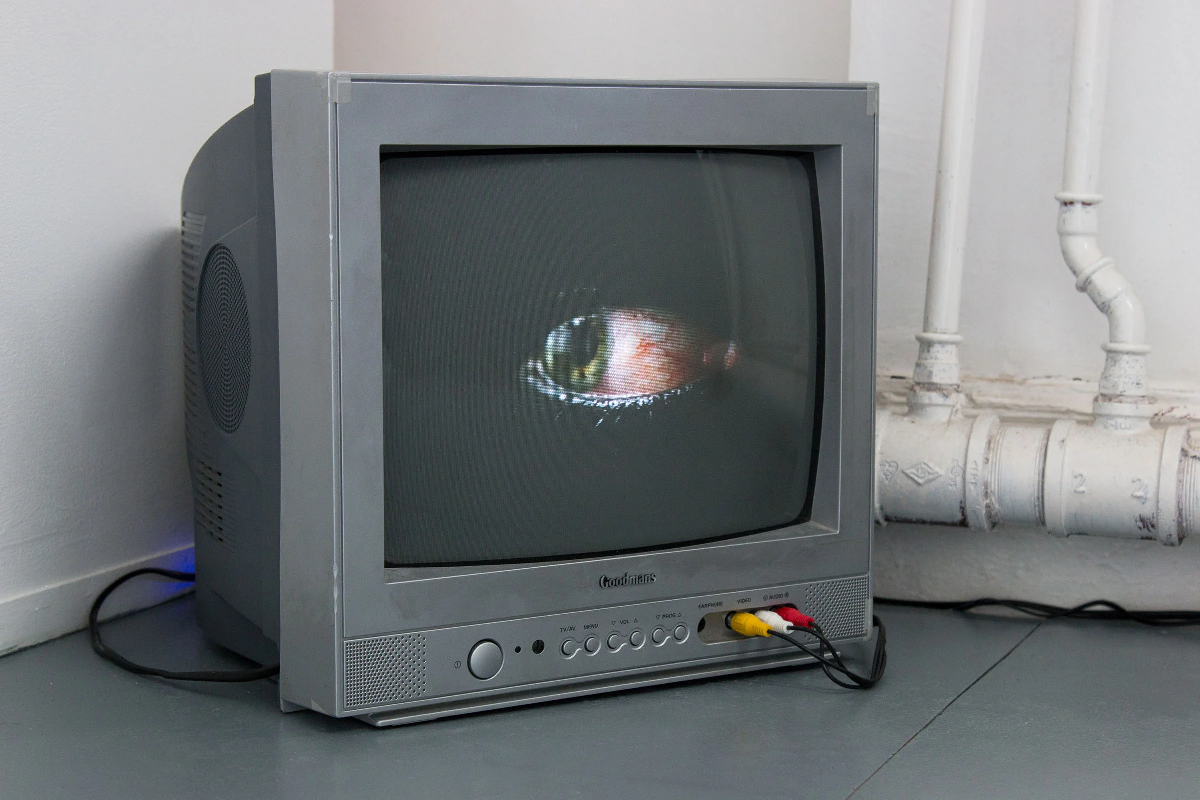 A Dialogue Between Matt Wilkinson and Sheyda A. Khaymaz